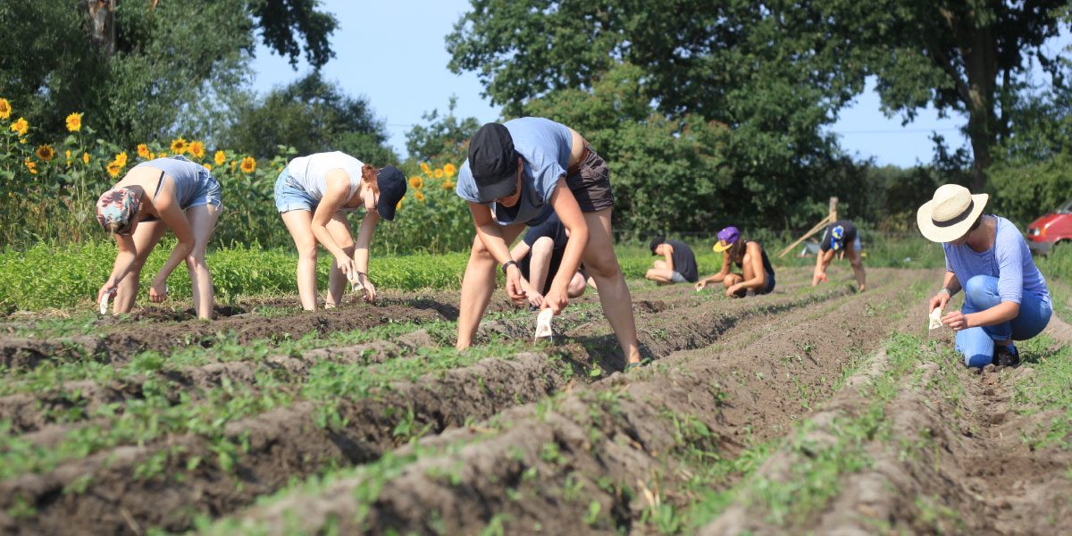 Solidarische Landwirtschaft | Ernte-teilen.org